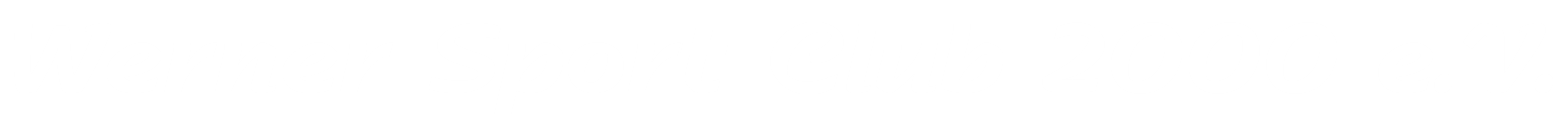 Logo Weiss Schriftzug 4000x300px