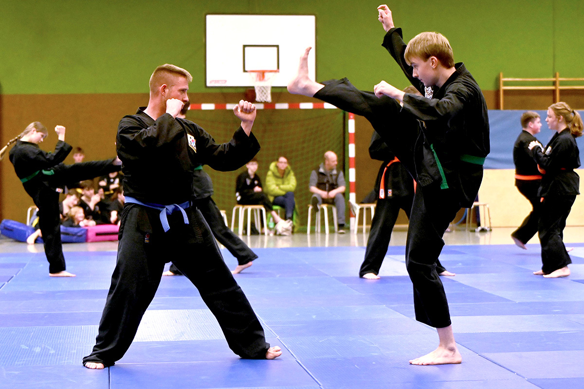 HapKiDo3